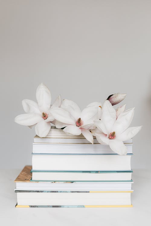 The Language of Flowers // Magnolia