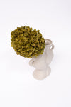 Preserved Moss Green Hydrangea