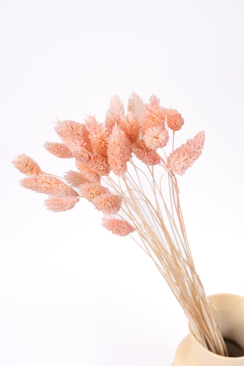 Blush Pink Gem Grass (Textured Bunny Tails)