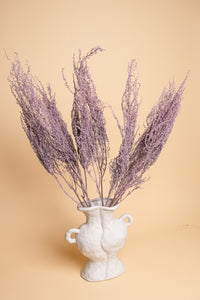 Lilac Purple Slangbos