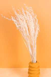 Bleached Oat Flower