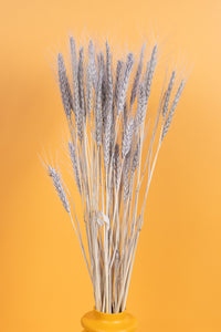 Soft Grey Wheat