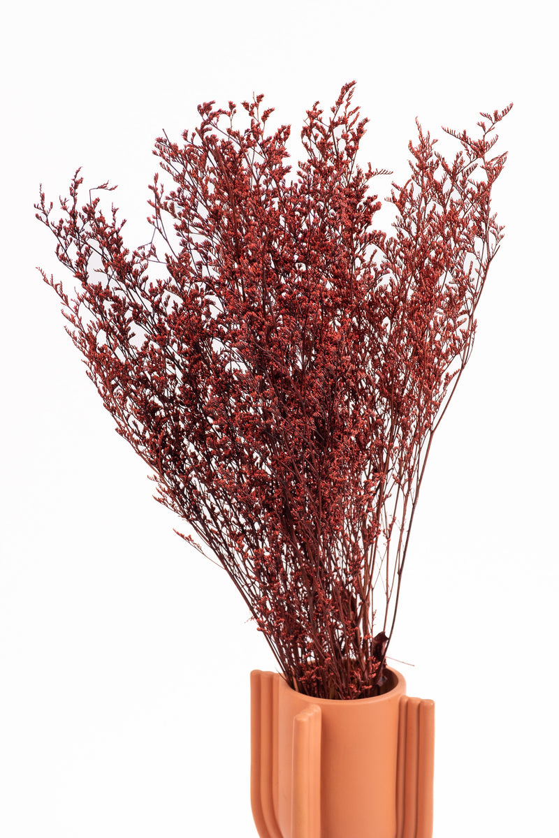 Deep Red Lattifolia (Limonium)(Per Bunch)