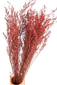 Red Lattifolia (Limonium)(Per Bunch)