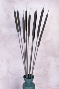 Charcoal Black Typha