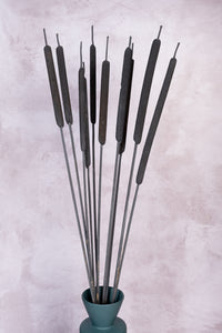 Charcoal Black Typha