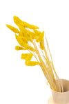 Yellow Gem Grass (Textured Bunny Tails)