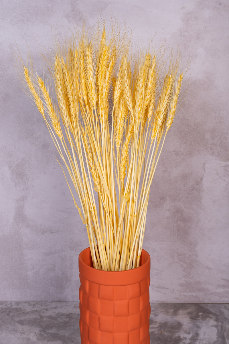 Yellow Wheat