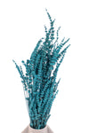 Teal Blue Preserved Lavender (Bunch)