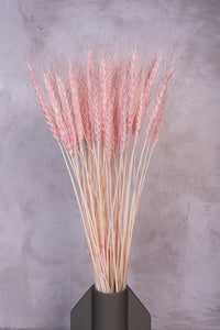 Blush Pink Wheat