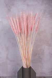 Blush Pink Wheat