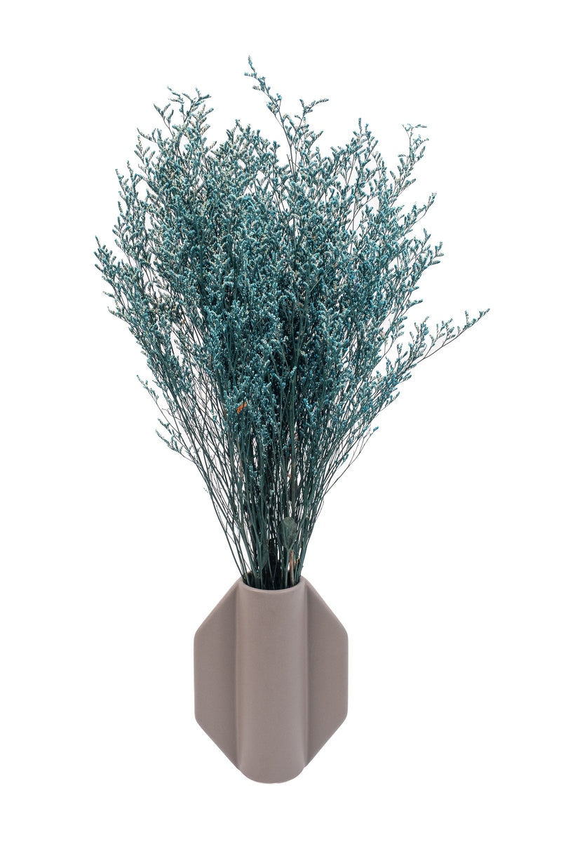 Teal Blue Lattifolia (Limonium)