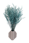 Teal Blue Lattifolia (Limonium)