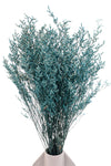 Teal Blue Lattifolia (Limonium)