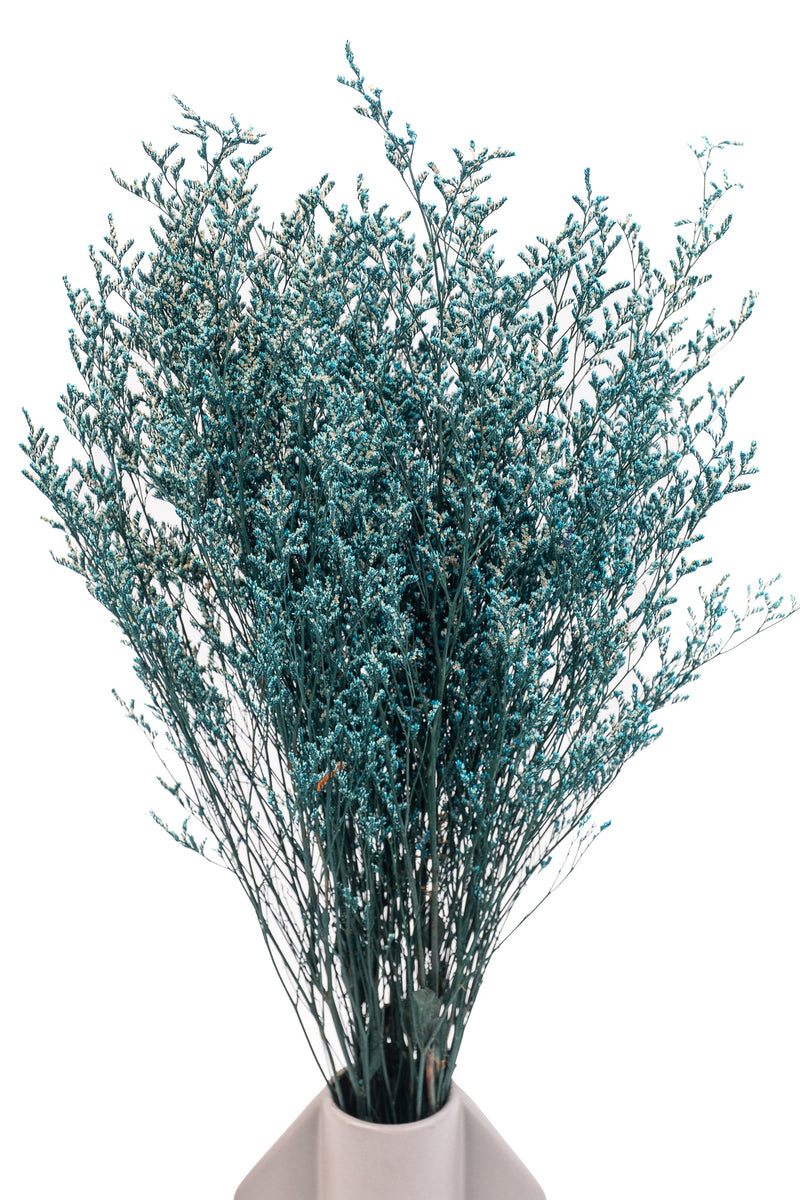 Teal Blue Lattifolia (Limonium)