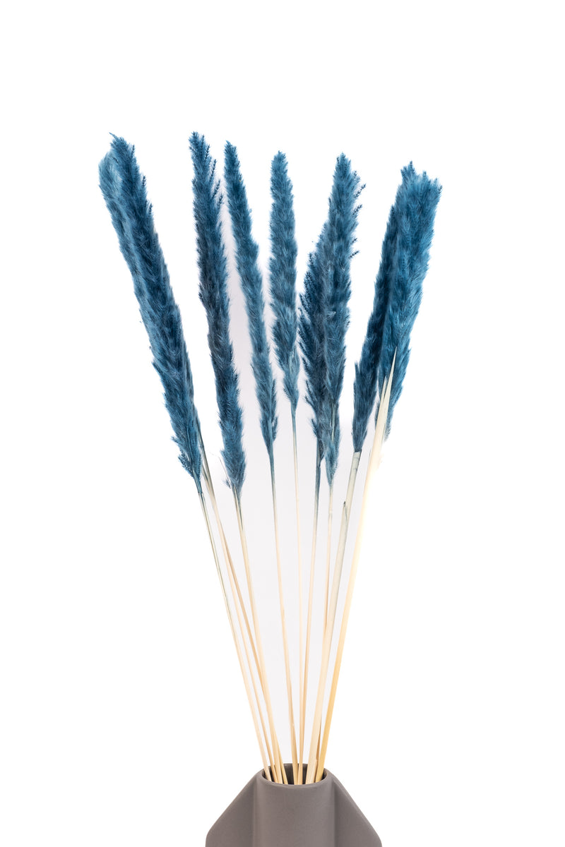 Steel Blue Mini Pampas