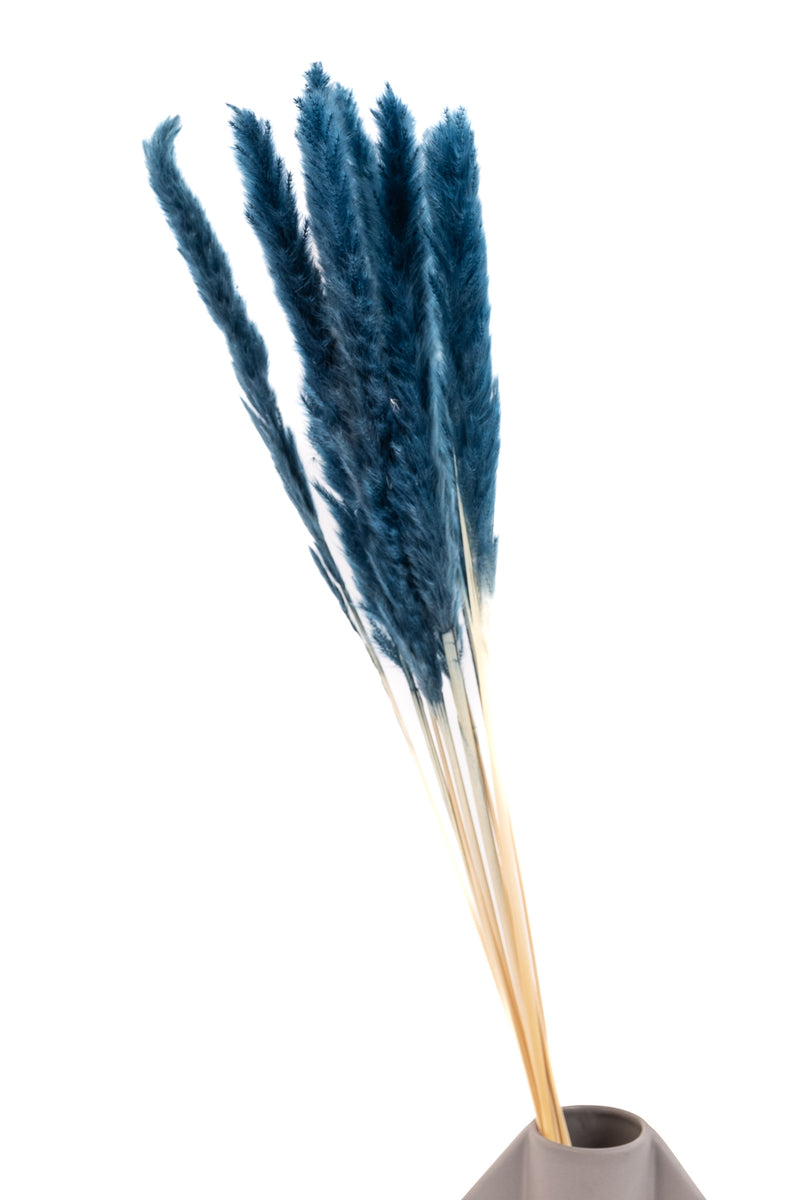 Steel Blue Mini Pampas