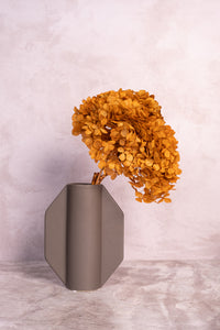 Preserved Ochre Hydrangea