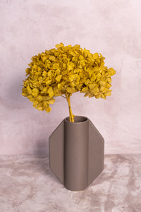Preserved Chartreuse Hydrangea
