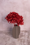 Preserved Deep Red Hydrangea