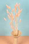 Coral Blush Bunny Tails