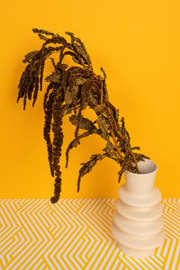 Dark Moss-Brown Amaranthus