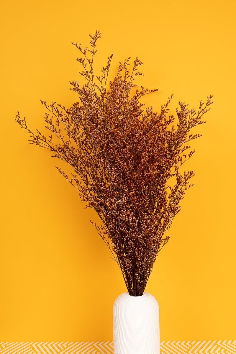 Rust Orange Lattifolia (Limonium)(Per Bunch)