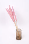 Light Pink Mini Pampas