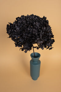 Premium Black Hydrangea