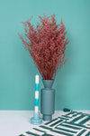 Red Lattifolia (Limonium)(Per Bunch)