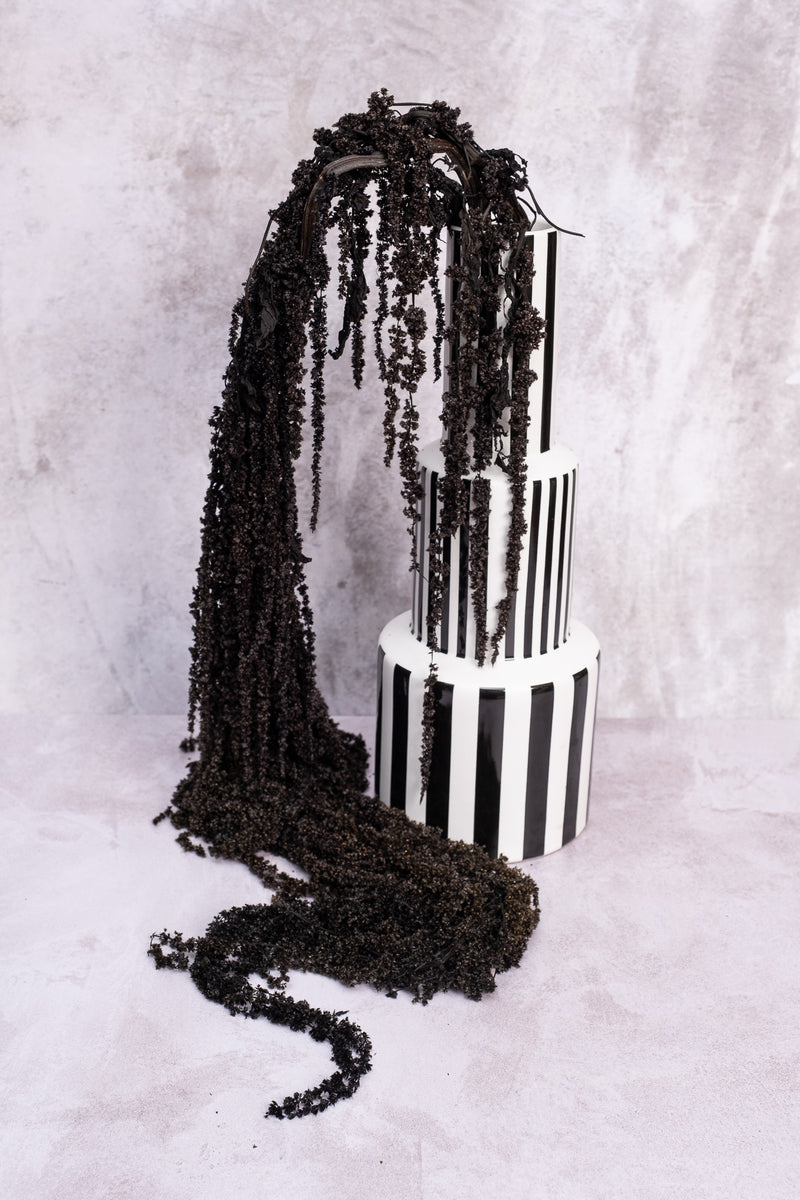 Extra-Length Black Amaranthus
