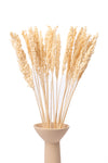 Bleached Sorghum