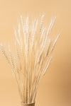 Bleached Wheat