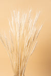 Bleached Wheat