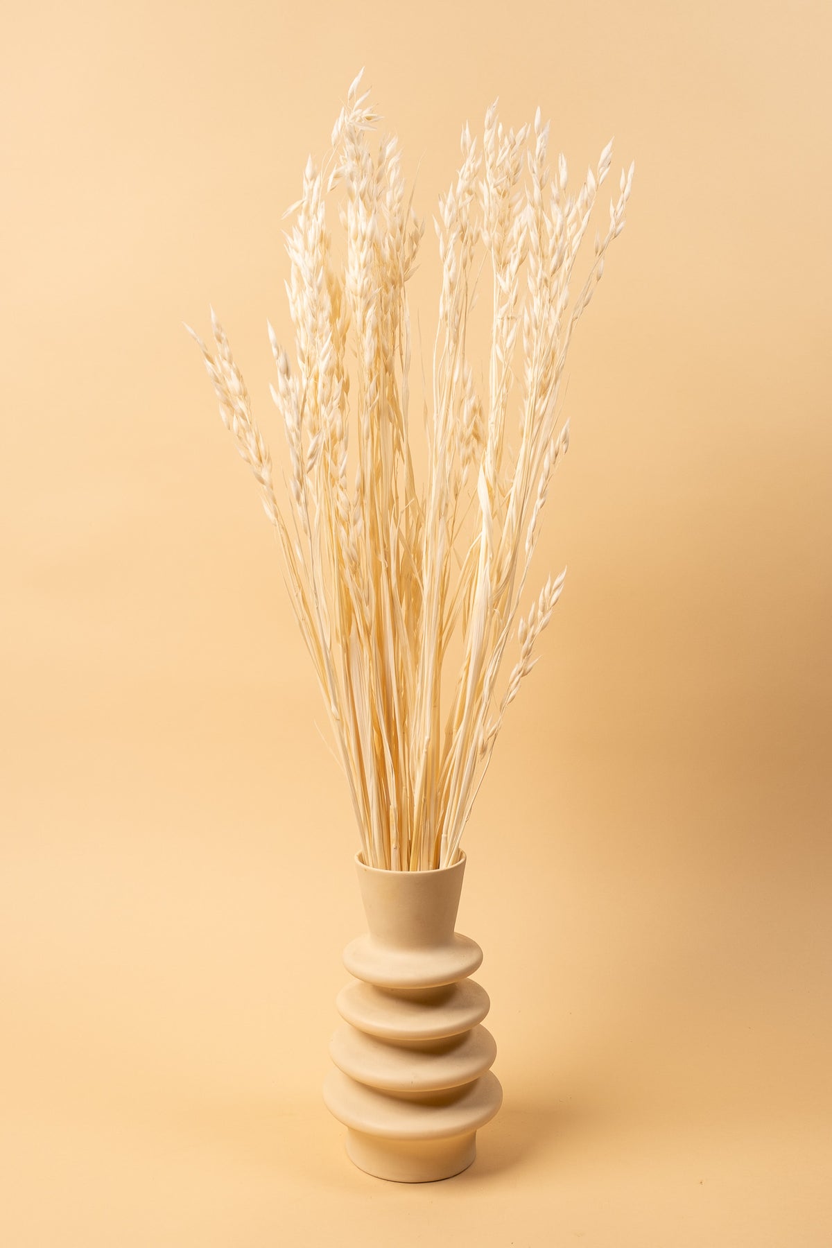 Bleached Oat Flower