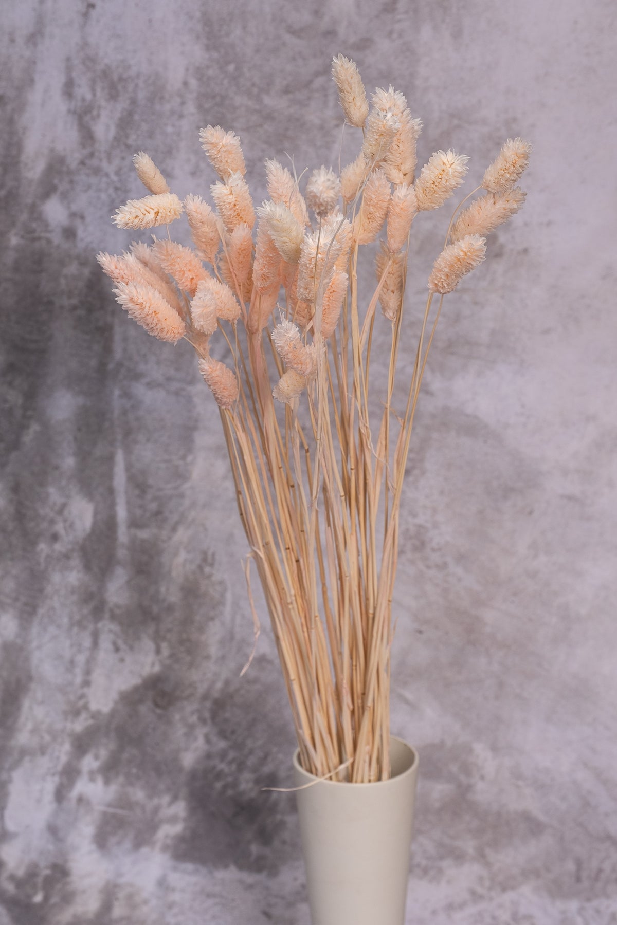 Blush Pink Gem Grass (Textured Bunny Tails)