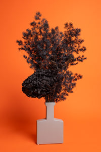 Black Beauty Vase Arrangement