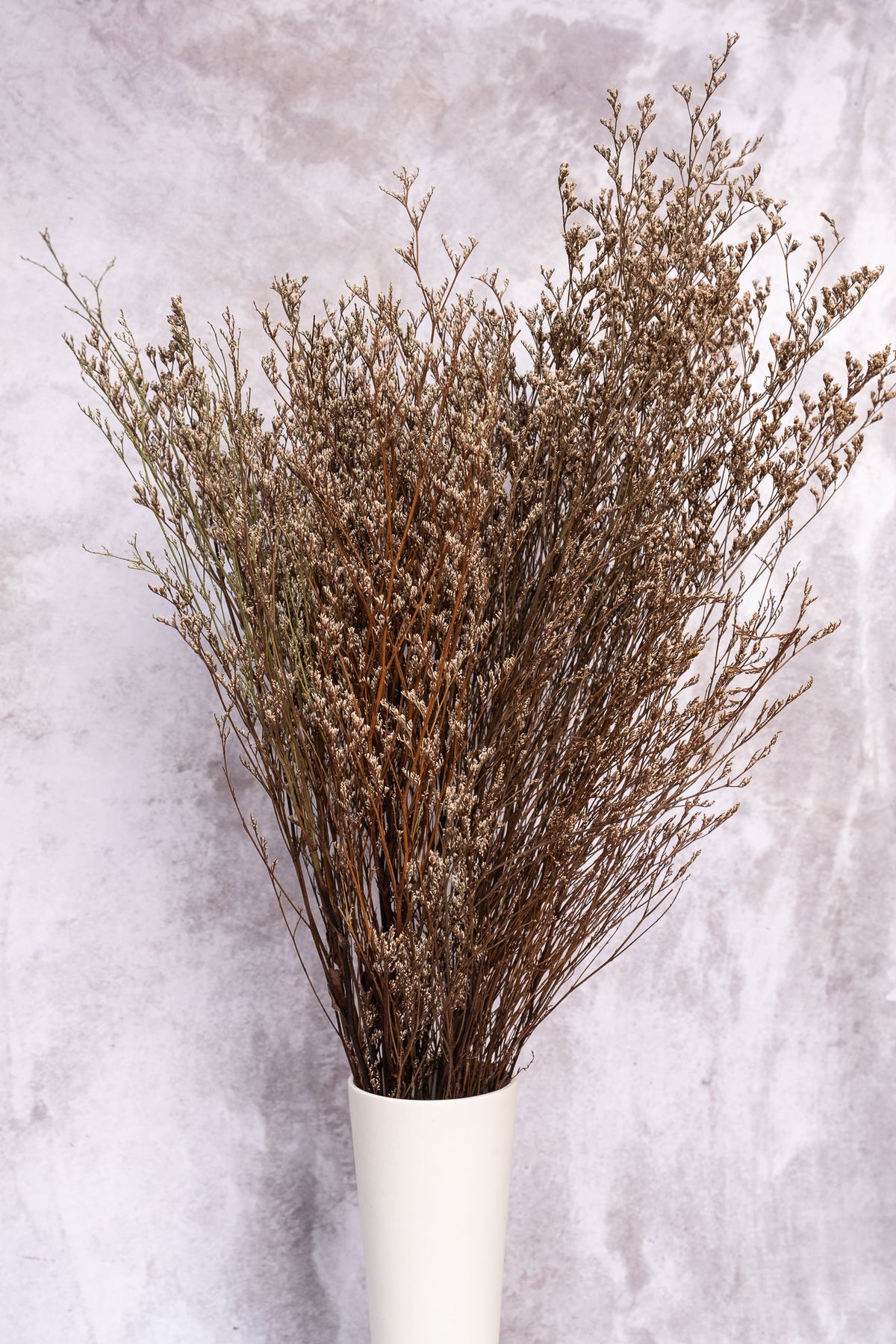 Soft Brown Lattifolia (Limonium)(Per Bunch)