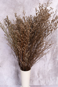 Soft Brown Lattifolia (Limonium)(Per Bunch)