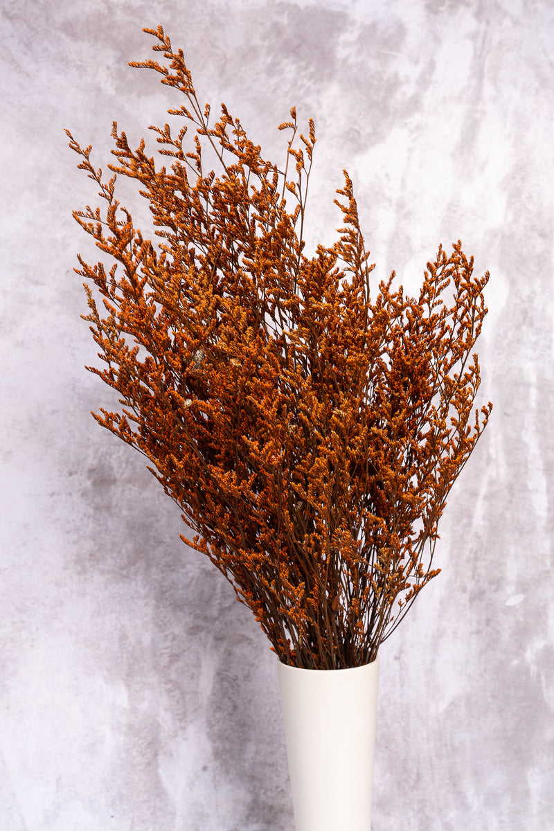 Rust Orange Lattifolia (Limonium)(Per Bunch)