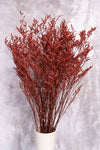 Red Lattifolia (Limonium)(Per Bunch)