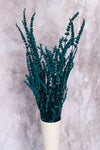 Teal Blue Preserved Lavender (Bunch)