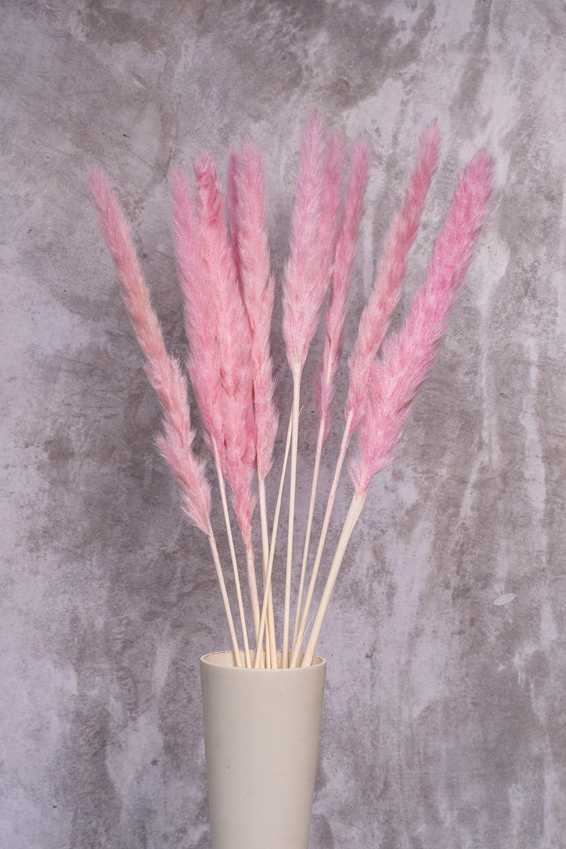 Light Pink Mini Pampas