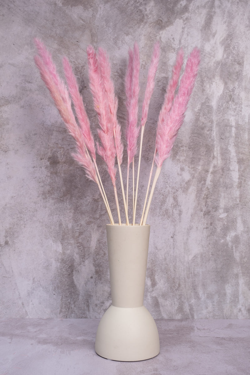 Light Pink Mini Pampas