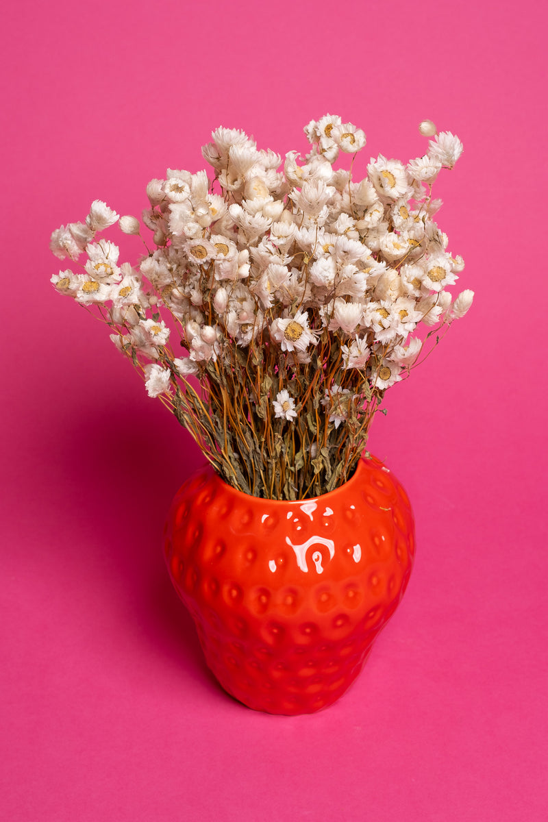 Strawberry Ceramic Vase (18cm)