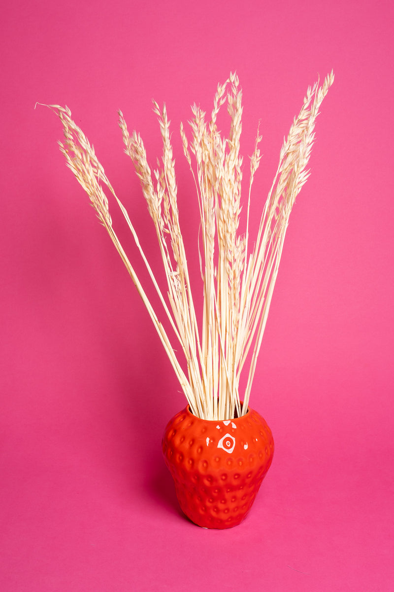 Bleached Oat Flower