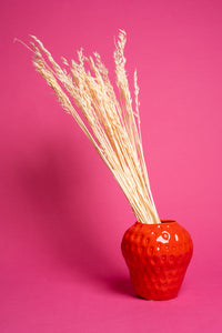 Bleached Oat Flower