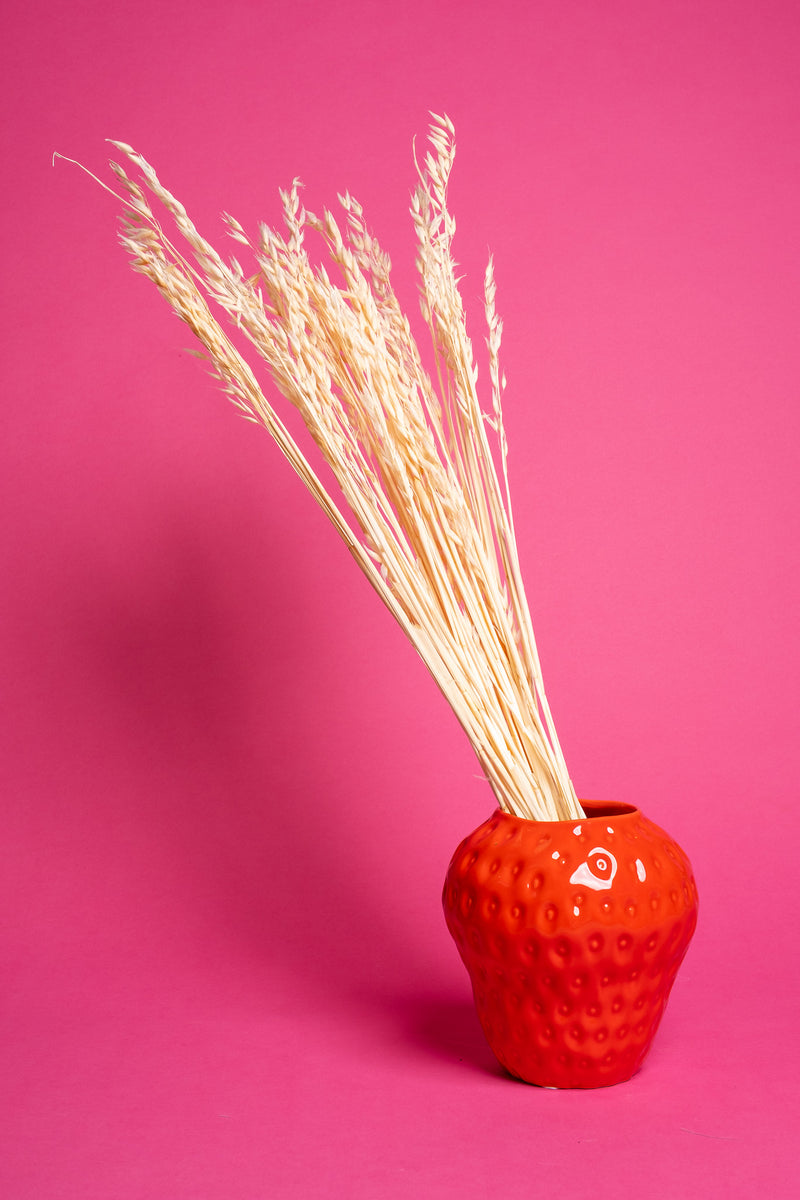 Bleached Oat Flower