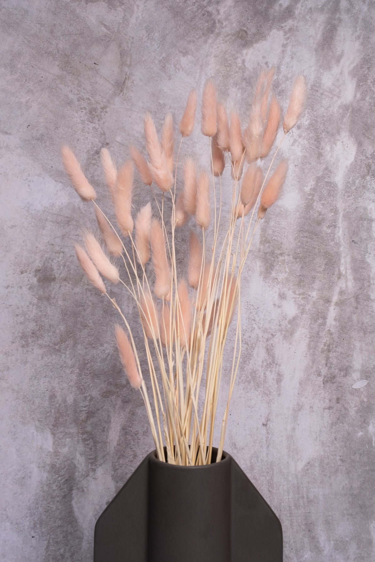 Blush Pink Bunny Tails