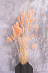 Coral Blush Bunny Tails